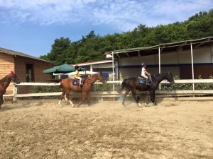 campi-estivi-granducato-equitazione-calenzano-11