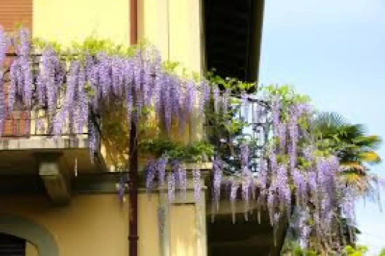 Articoli da leggere